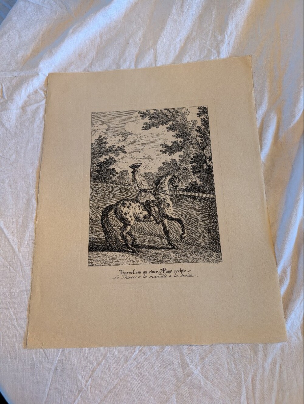 2/40$ Vintage Horse Engraving Wall Art - Cream & Black